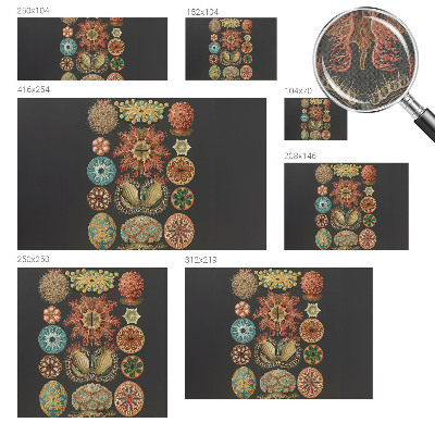 Samolepilna fototapeta Morski navdihi