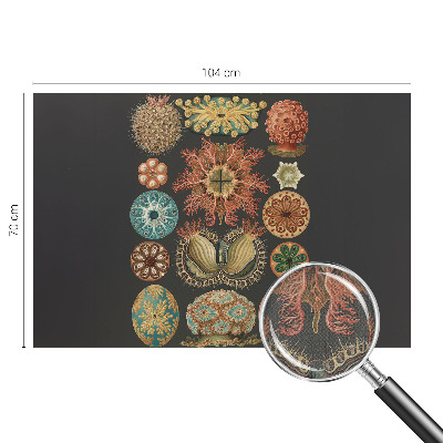 Samolepilna fototapeta Morski navdihi