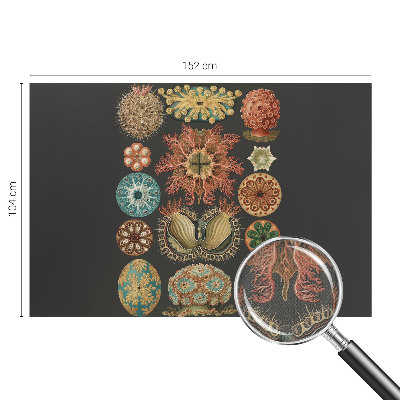 Samolepilna fototapeta Morski navdihi