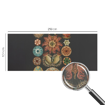 Samolepilna fototapeta Morski navdihi