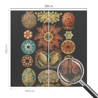 Samolepilna fototapeta Morski navdihi