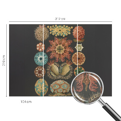 Samolepilna fototapeta Morski navdihi