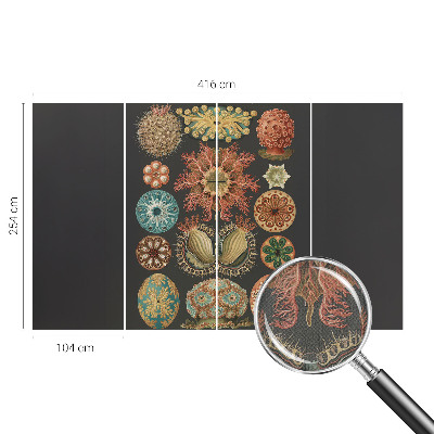 Samolepilna fototapeta Morski navdihi