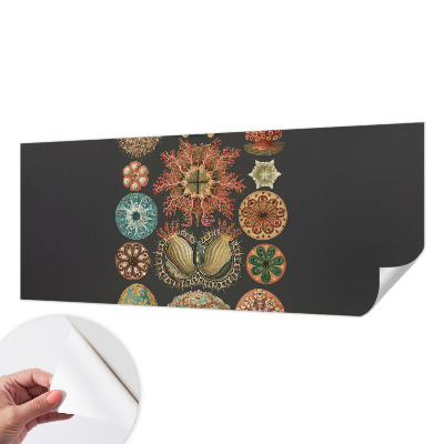 Samolepilna fototapeta Morski navdihi