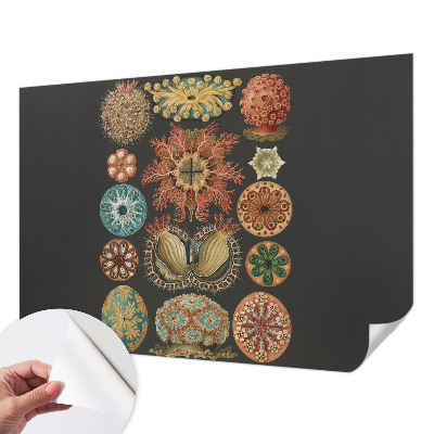 Samolepilna fototapeta Morski navdihi