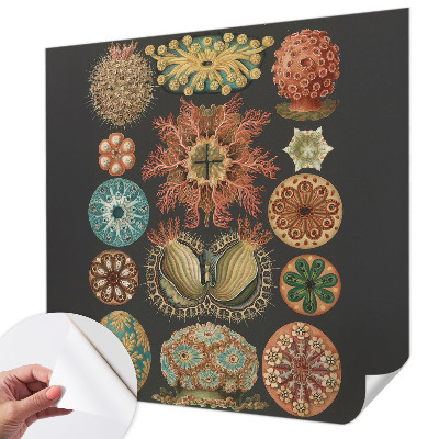 Samolepilna fototapeta Morski navdihi