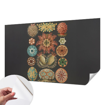 Samolepilna fototapeta Morski navdihi