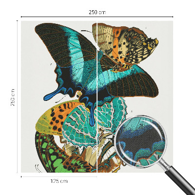 Samolepilna fototapeta Barviti metulji