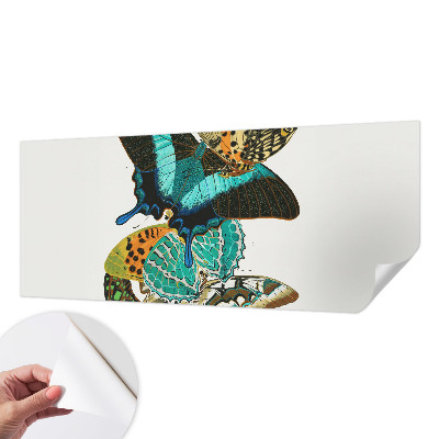 Samolepilna fototapeta Barviti metulji