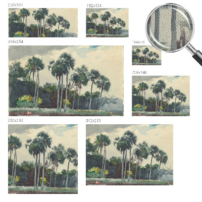 Fototapeta za otroško sobo z motivom eksotičnih palm