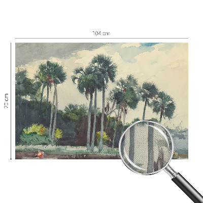 Fototapeta za otroško sobo z motivom eksotičnih palm