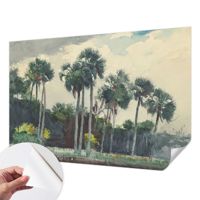 Fototapeta za otroško sobo z motivom eksotičnih palm