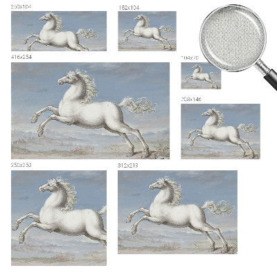 Samolepilna fototapeta Konji v skoku