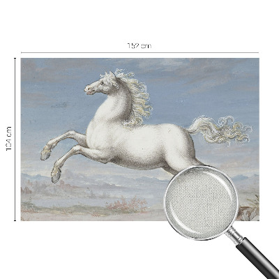 Samolepilna fototapeta Konji v skoku