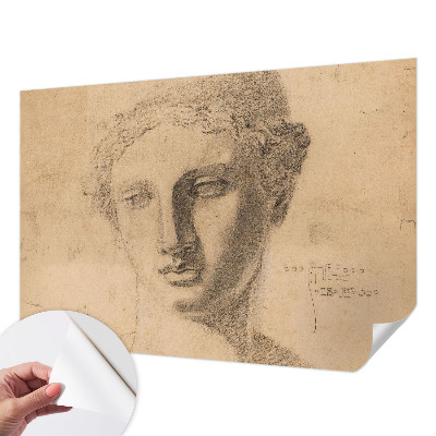 Otroška fototapeta Ženski portret