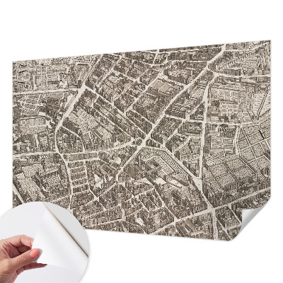 Fototapeta za otroško sobo Mestni labirint