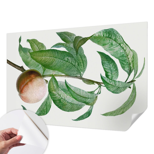 3D fototapeta z motivom zrele breskve
