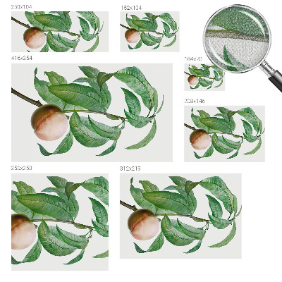 3D fototapeta z motivom zrele breskve