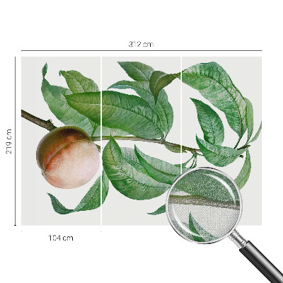 3D fototapeta Zrela breskev