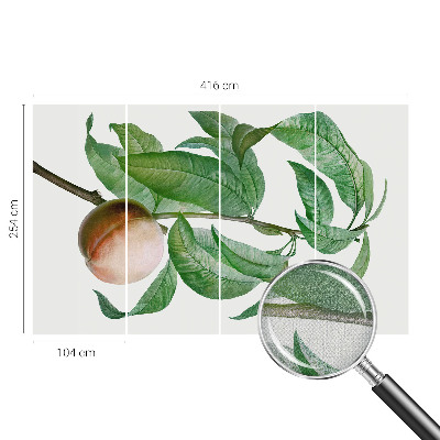 3D fototapeta Zrela breskev