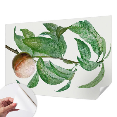 3D fototapeta z motivom zrele breskve