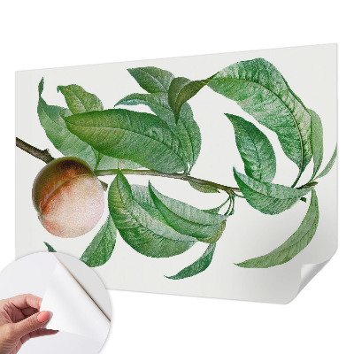 3D fototapeta z motivom zrele breskve