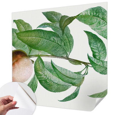 3D fototapeta z motivom zrele breskve