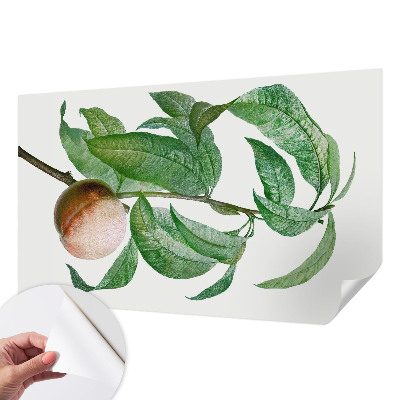 3D fototapeta z motivom zrele breskve