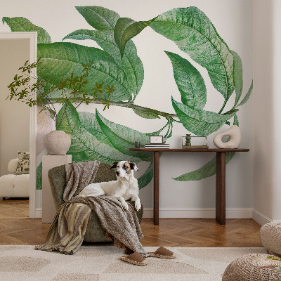 3D fototapeta Zrela breskev