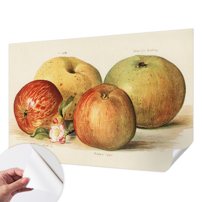 Samolepilna fototapeta za dnevno sobo Jabolčni cvetovi