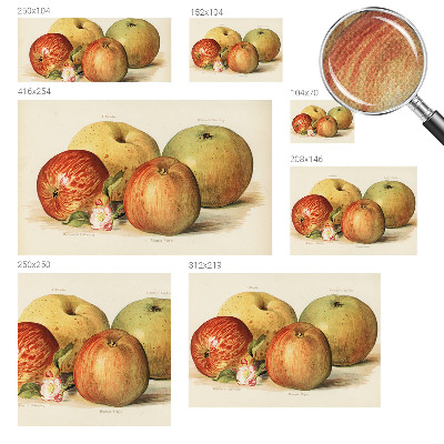 Samolepilna fototapeta za dnevno sobo Jabolčni cvetovi