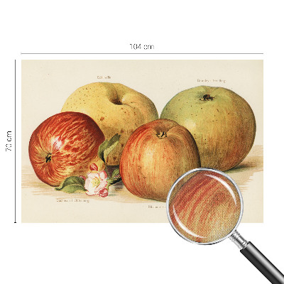 Samolepilna fototapeta za dnevno sobo Jabolčni cvetovi