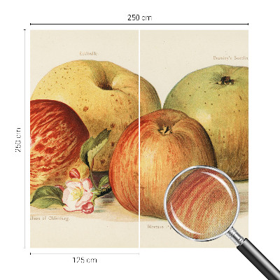 Samolepilna fototapeta za dnevno sobo Jabolčni cvetovi