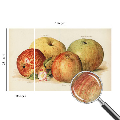 Samolepilna fototapeta za dnevno sobo Jabolčni cvetovi