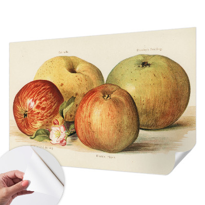 Samolepilna fototapeta za dnevno sobo Jabolčni cvetovi