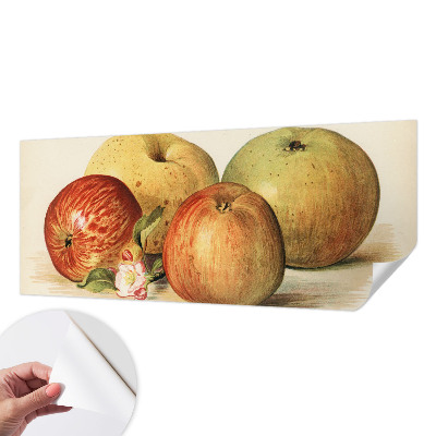 Samolepilna fototapeta za dnevno sobo Jabolčni cvetovi