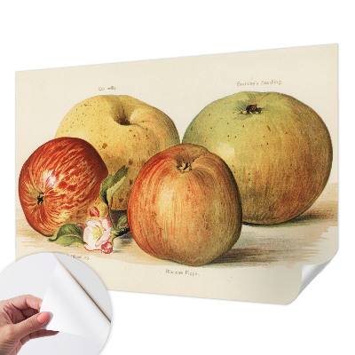 Samolepilna fototapeta za dnevno sobo Jabolčni cvetovi