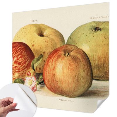 Samolepilna fototapeta za dnevno sobo Jabolčni cvetovi