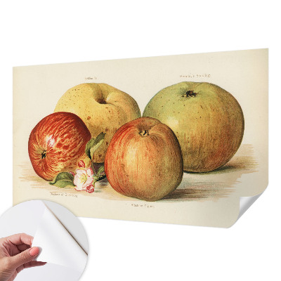 Samolepilna fototapeta za dnevno sobo Jabolčni cvetovi