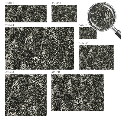 Samolepilna fototapeta Grozdni odtis