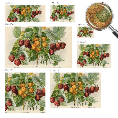 Samolepilna fototapeta Klasične maline