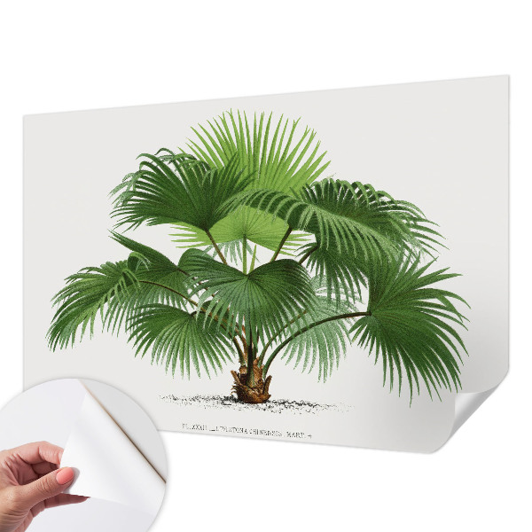 Samolepilna fototapeta z motivom eksotične palme