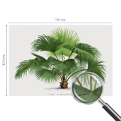 Samolepilna fototapeta z motivom eksotične palme