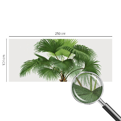 Samolepilna fototapeta z motivom eksotične palme