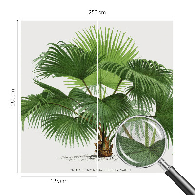Samolepilna fototapeta z motivom eksotične palme