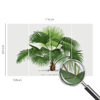 Samolepilna fototapeta z motivom eksotične palme