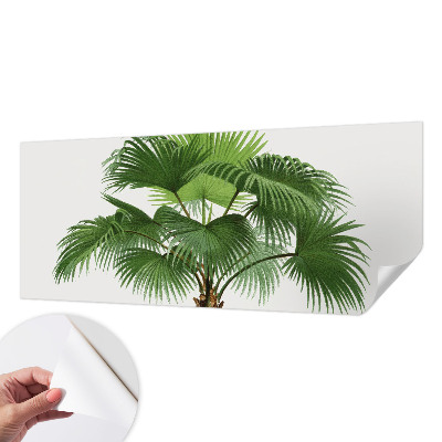 Samolepilna fototapeta z motivom eksotične palme