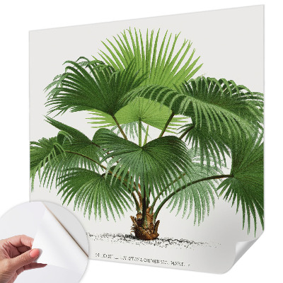 Samolepilna fototapeta z motivom eksotične palme