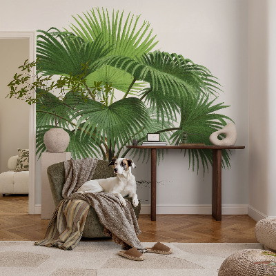 Samolepilna fototapeta Eksotična palma