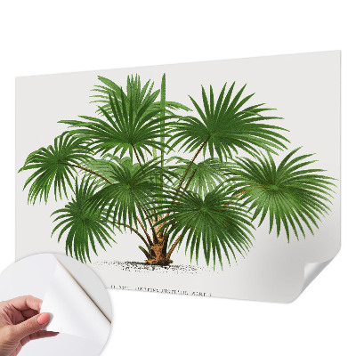 Samolepilna fototapeta za dnevno sobo Eksotični vzorec